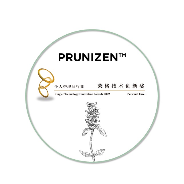 2022 - PRUNIZEN - Ringier award