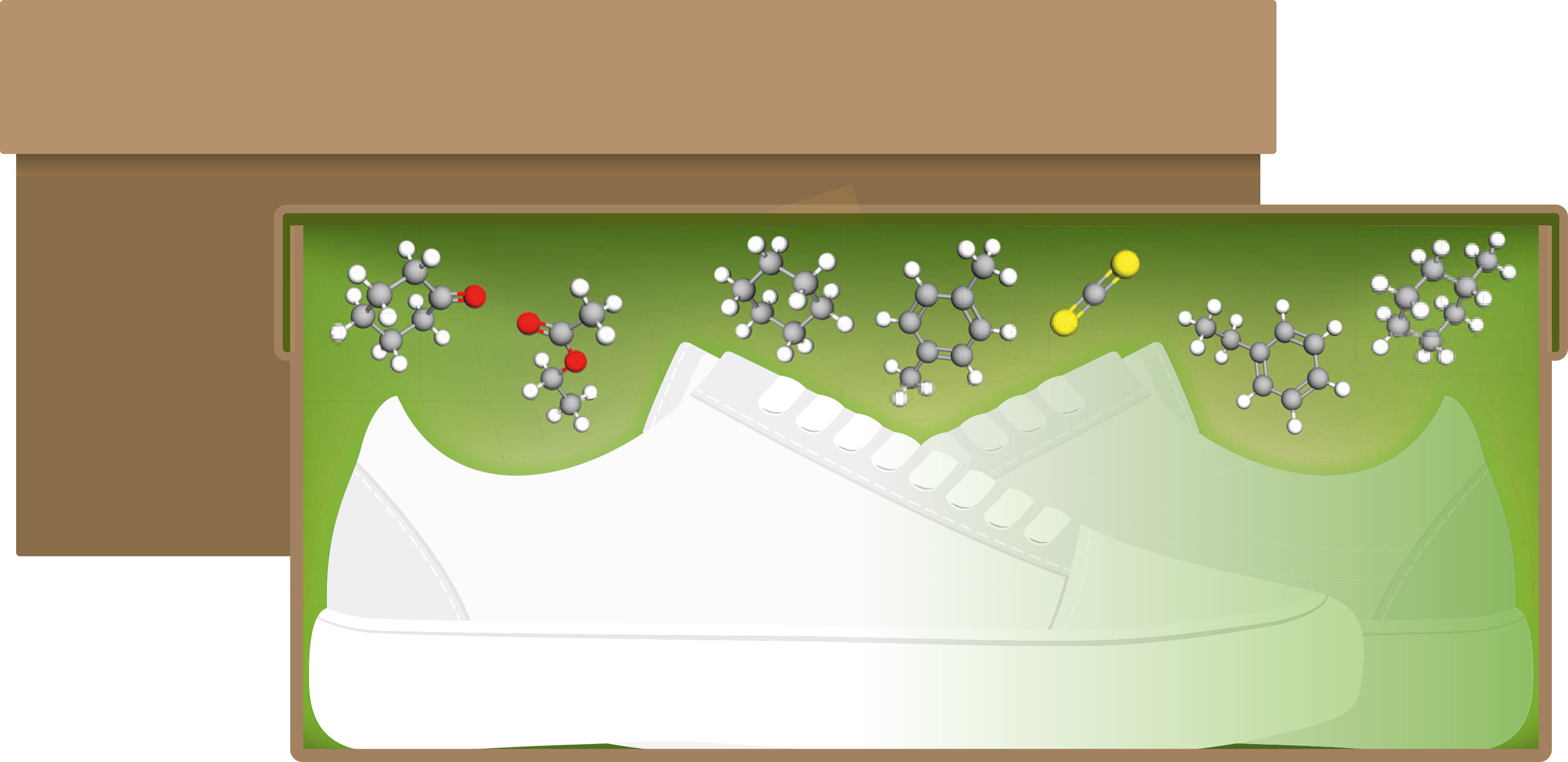 Example of Footwear Off-gassing Volatile Organic Compounds