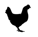 Clariant Image Poultry Toxisorb Feed Additives 092020