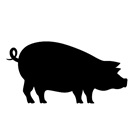 Clariant Image Swine Toxisorb Feed Additives 092020