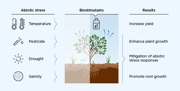 Plant_and_soil_health_Biostimulants