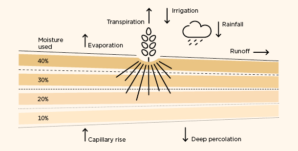 Plant_and_soil_health_Soil_health