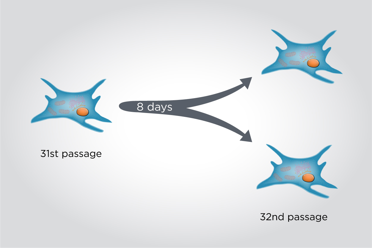 Clariant_Image_senescence prevention v3_2021_EN