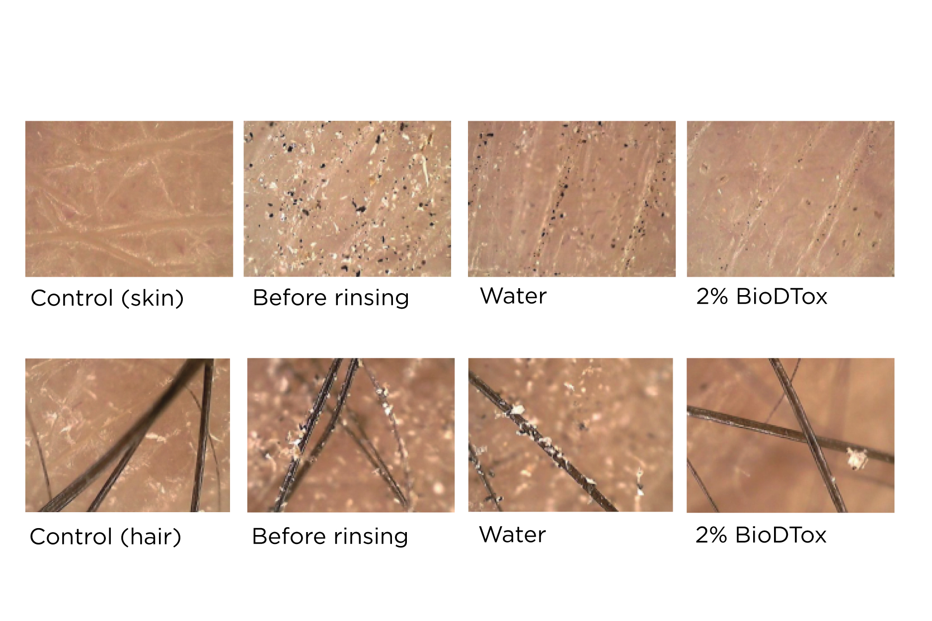 Clariant_Image_BioDTox-rinseoff_2021_EN-01