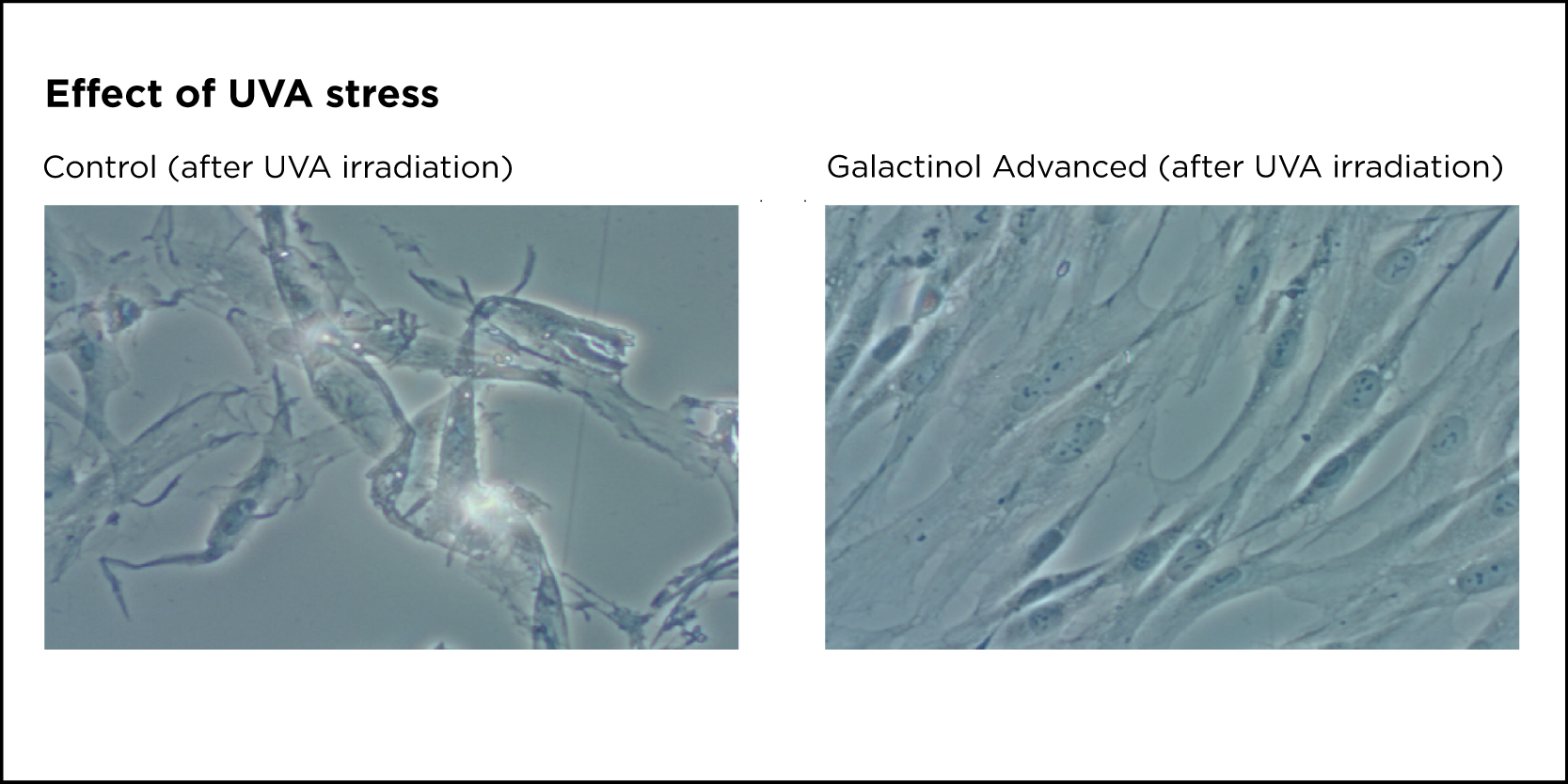 Clariant_Image_UVA protection-v2_2022_EN