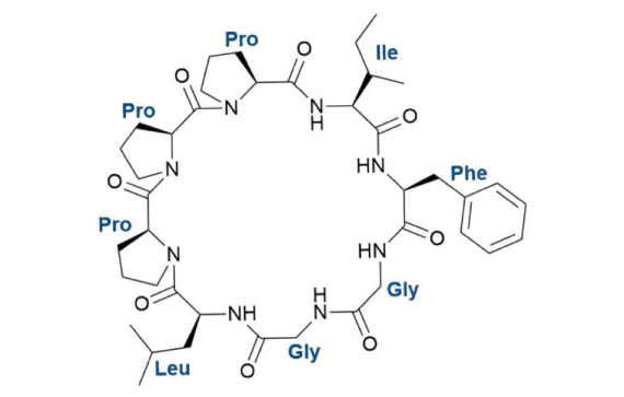 Clariant-image-Heterophyllin-B-2024