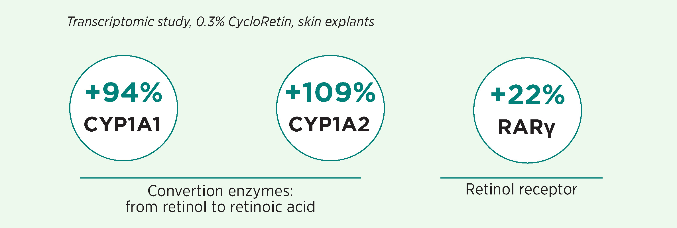 Clariant-image-pathway-retinol-v4-2024