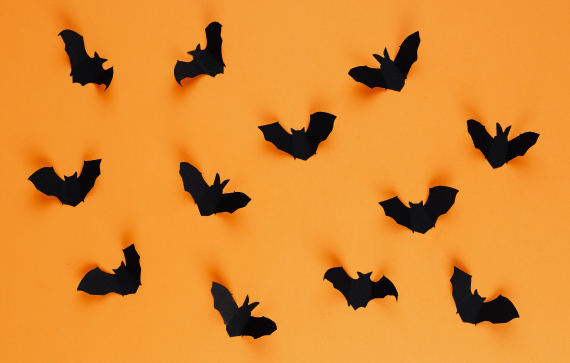 Clariant_image_bats_2023