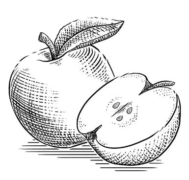applestem-graphic-apple