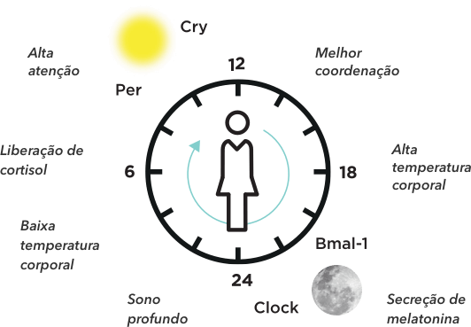 circadin-cycle-complete