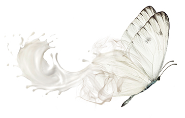 web_Schmetterling_creme