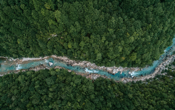 23633_teaser_Clariant_river flowing in the forest
