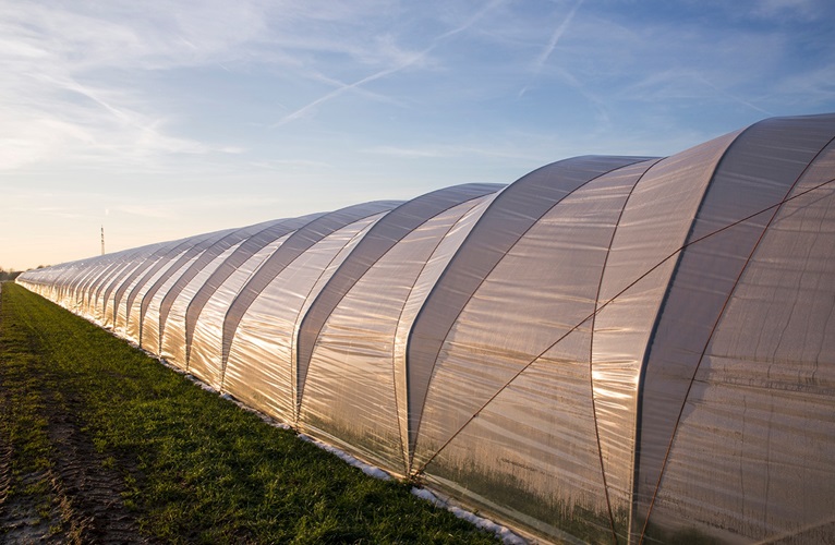 AddWorks® AGC for Agricultural films offers a range of solutions to fulfill the requirements of... AddWorks® AGC for Agricultural films offers a range of solutions to fulfill the requirements of...