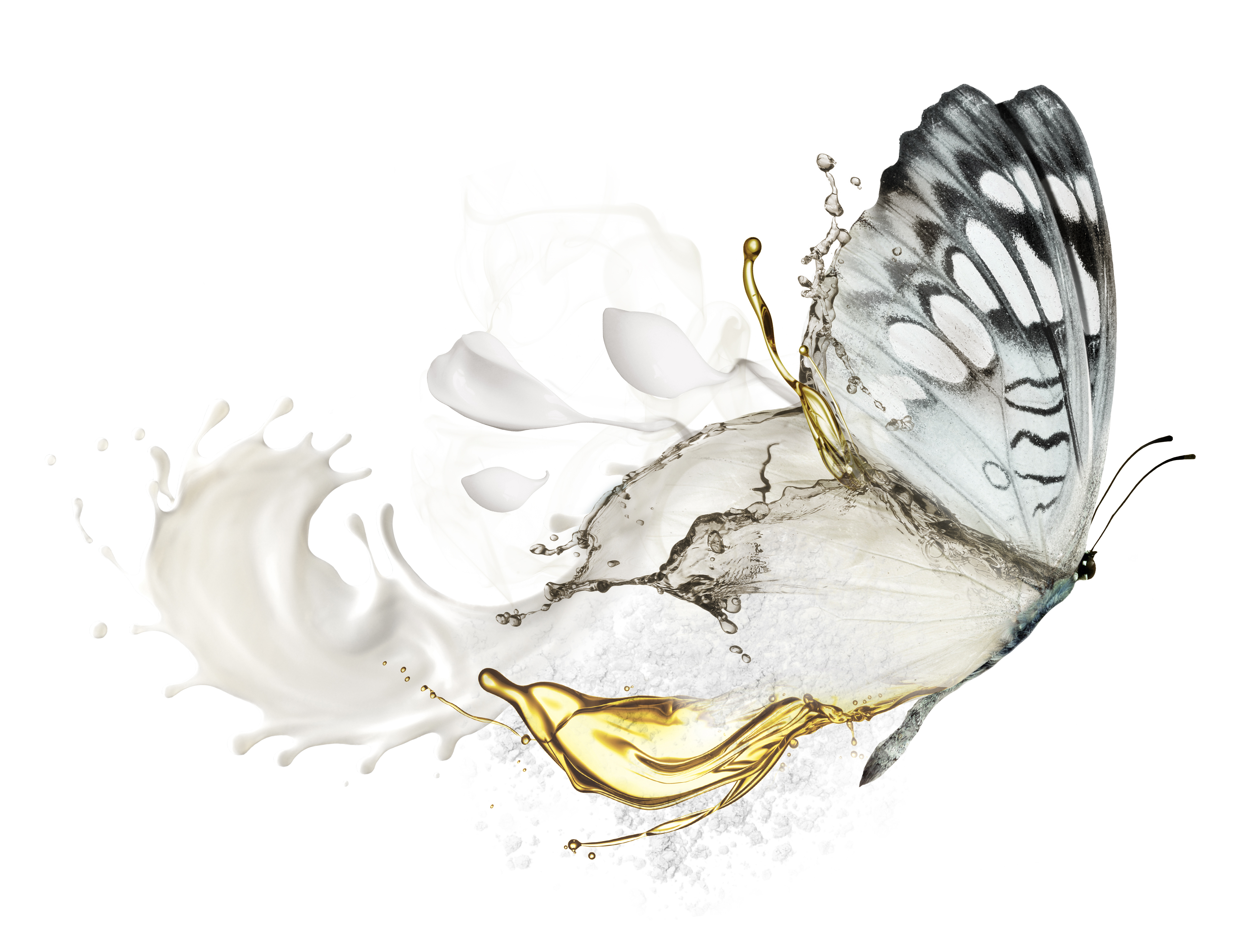Metamorphosis by Plantasens® allows for extraordinary texture transformations within the same p... Metamorphosis by Plantasens® allows for extraordinary texture transformations within the same p...