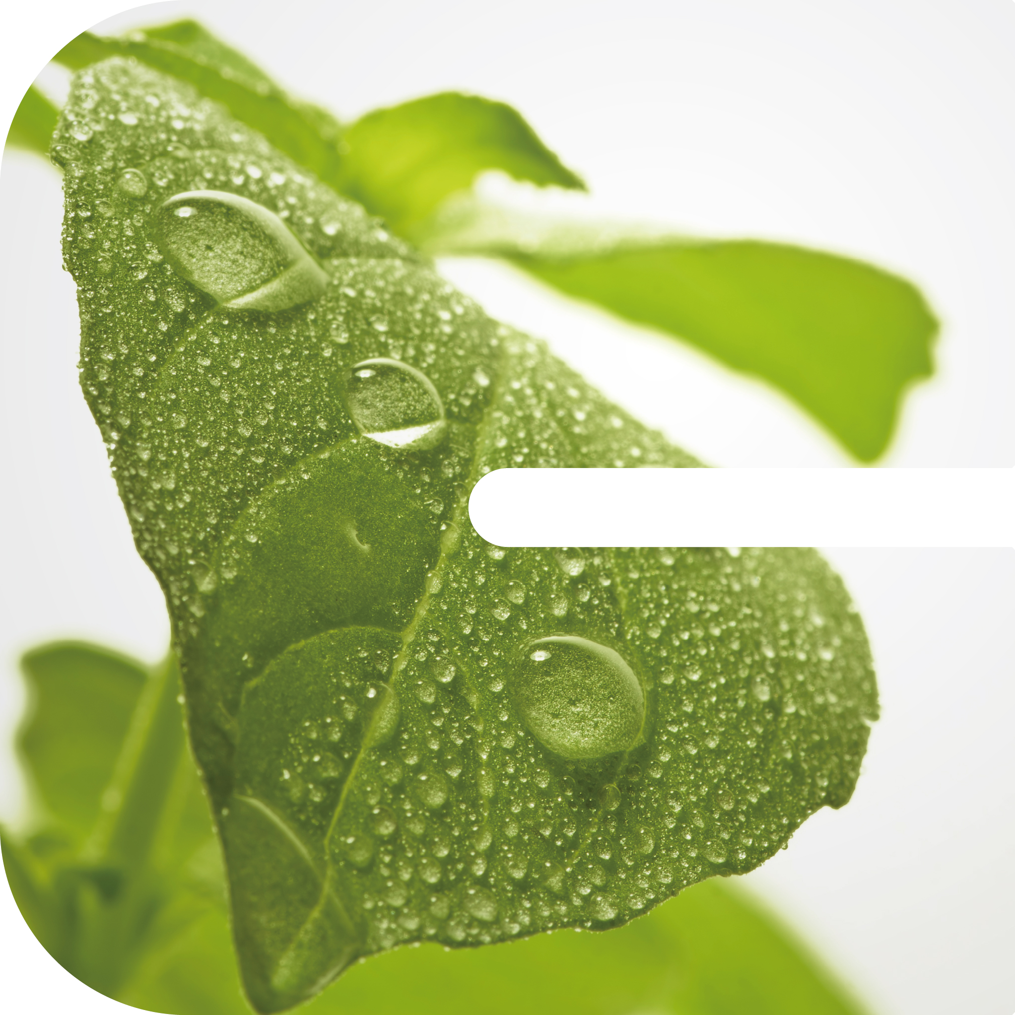 Clariant showcases "green" crop solutions at CAC 2018 exhibition in China. 
(Photo: Clariant)
