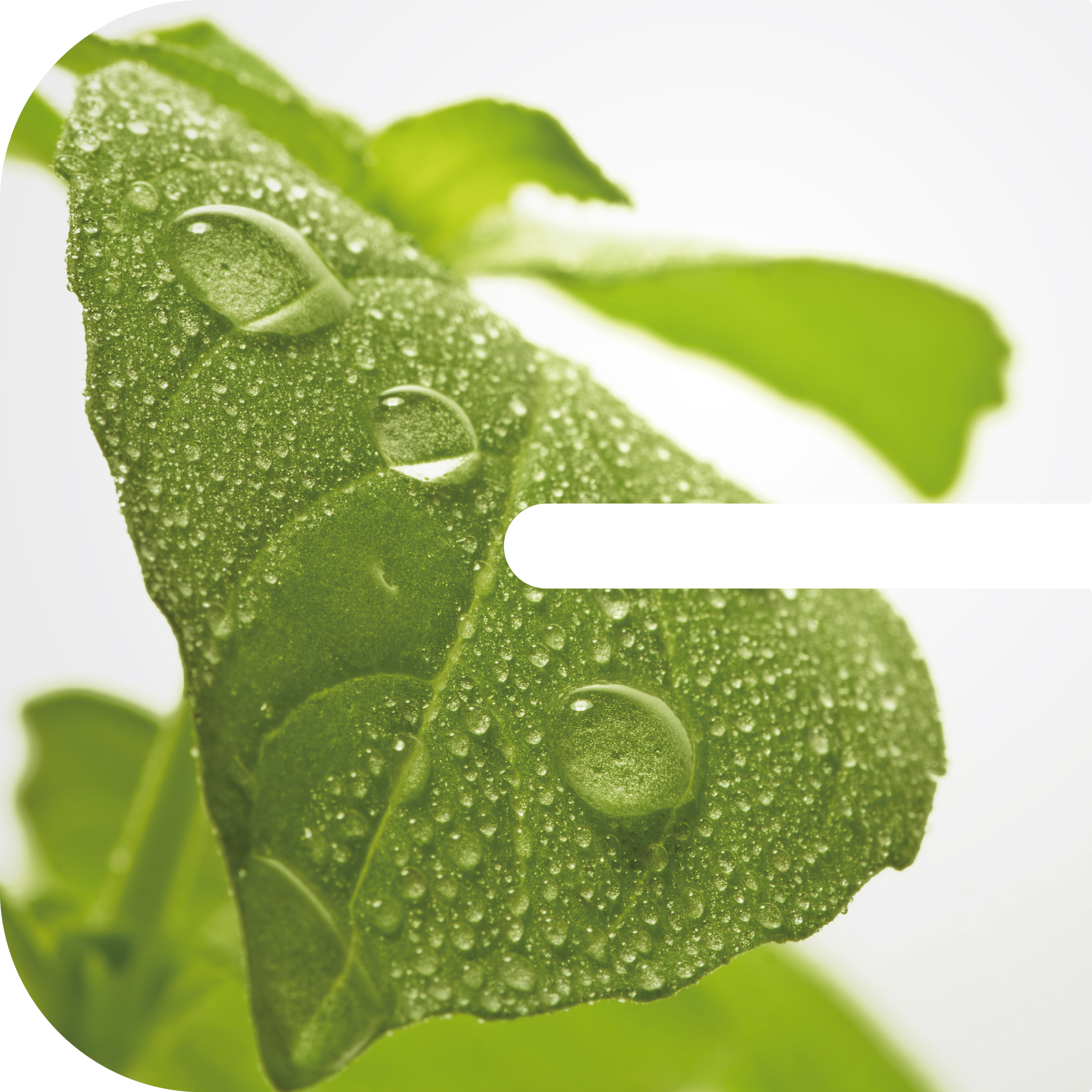 Clariant showcases "green" crop solutions at CAC 2018 exhibition in China. 
(Photo: Clariant)