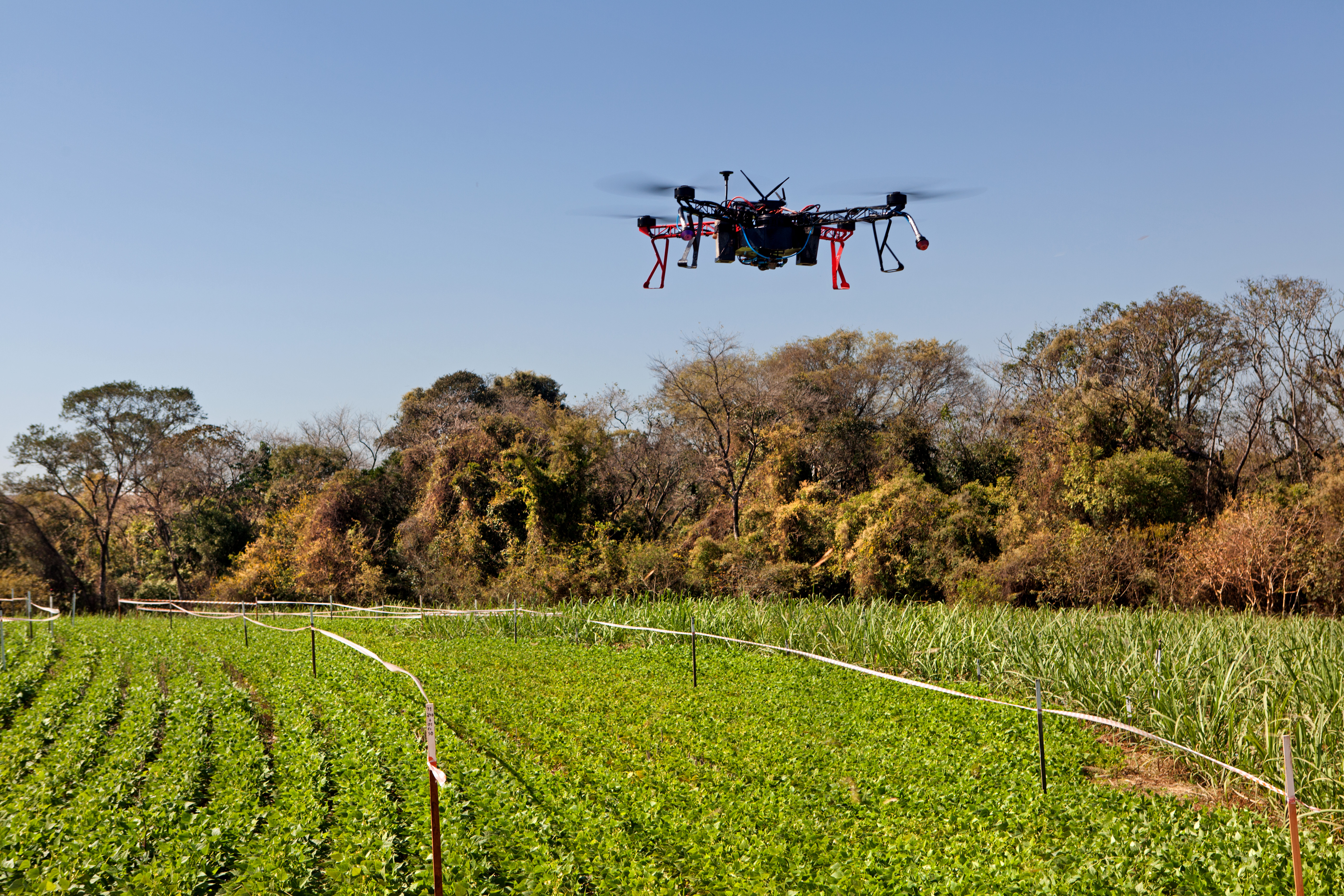 Pulverización de Synergen DRT con drones en ensayos de campo en Brasil. Fotografía: Lau Polinésio....