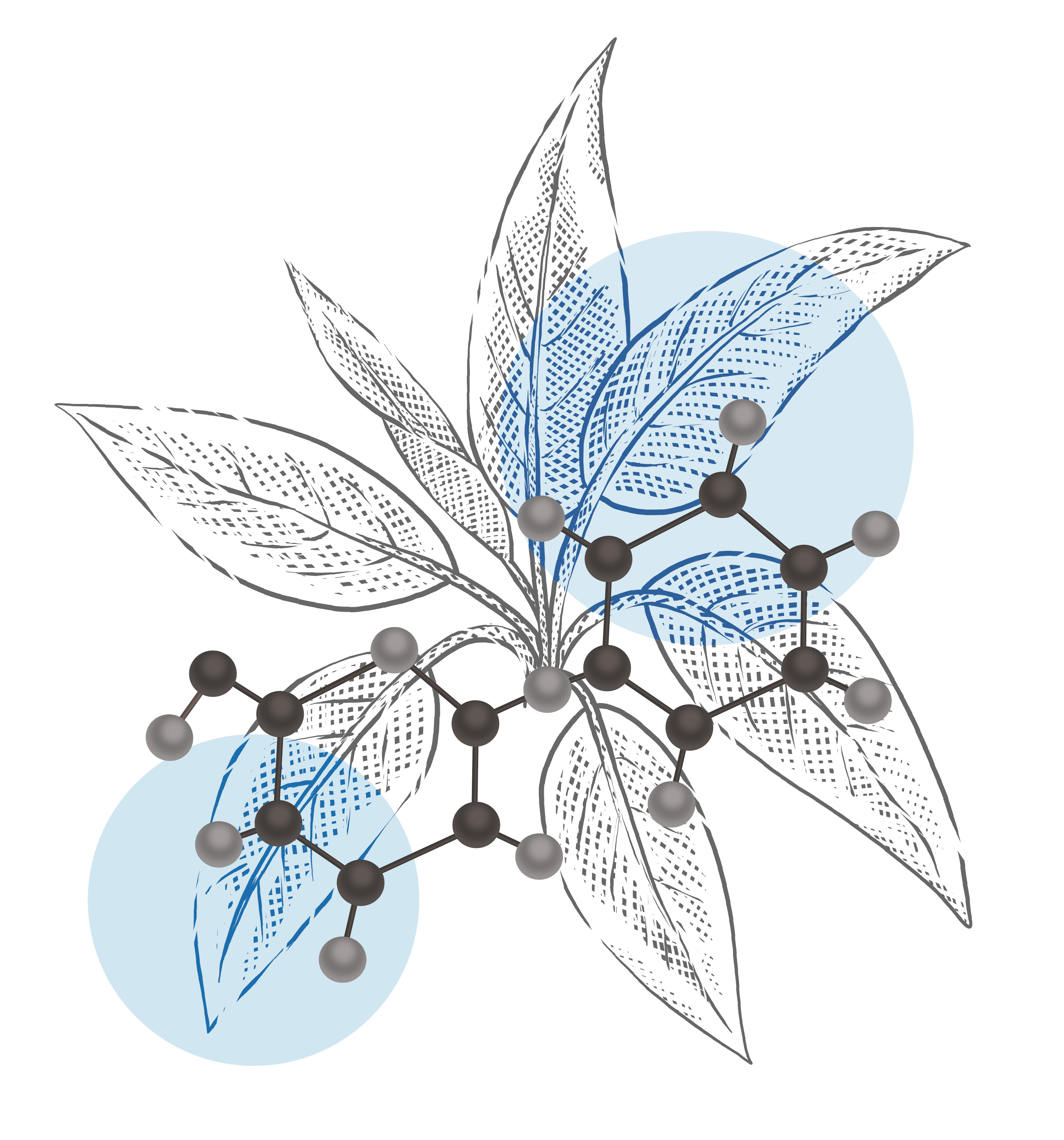 Resurrection plants: uniquely equipped for survival.