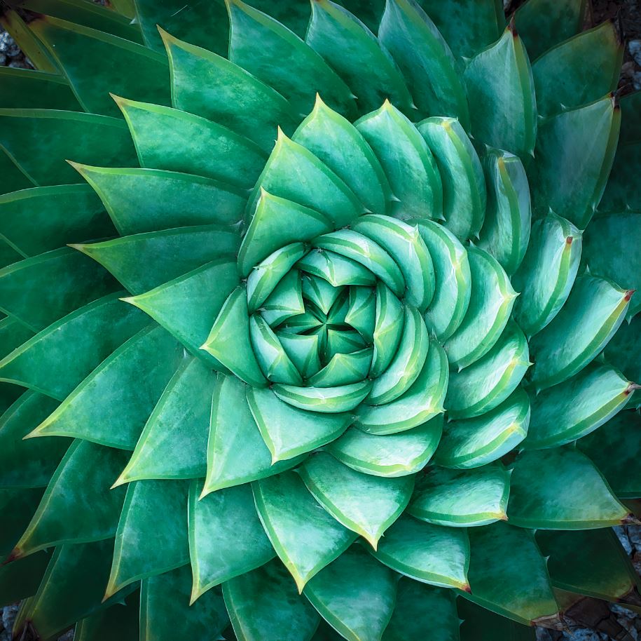 Clariant's science of sustainable beauty.