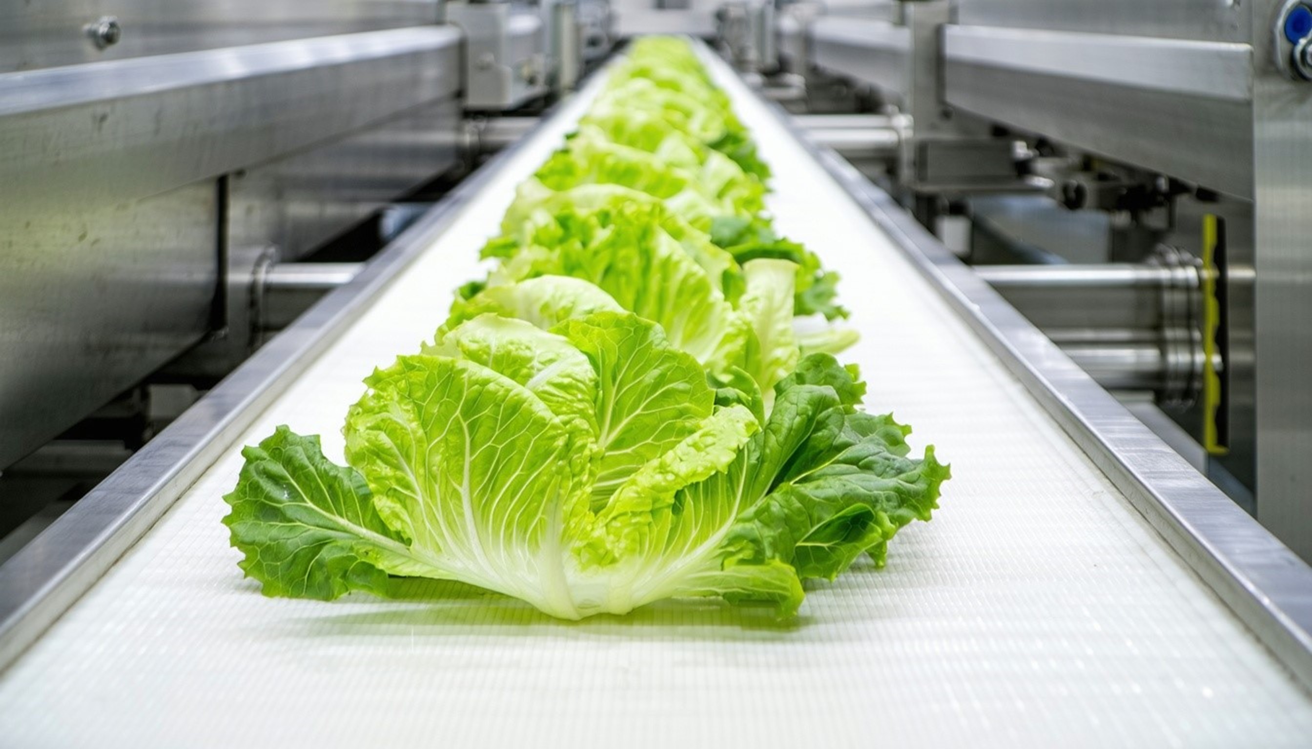 Image_Media Release Food contact update PVC 20260625 CN
