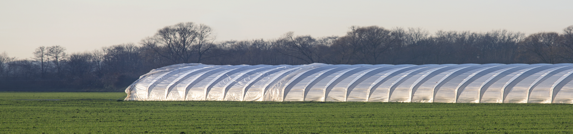 Innovative light stabilizer technology helps agricultural film producers