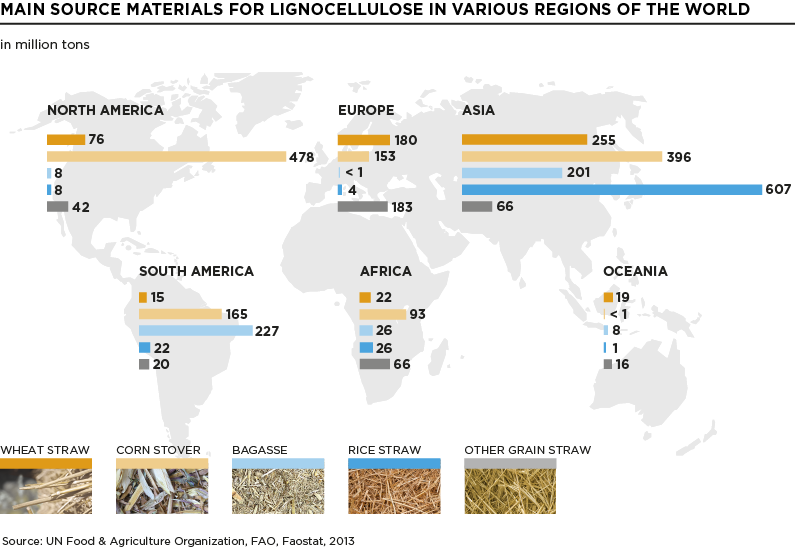 Lowres_CLA-MOBILITY-CP_Biofuels_16_MainSourceMaterials_Lignocellulose