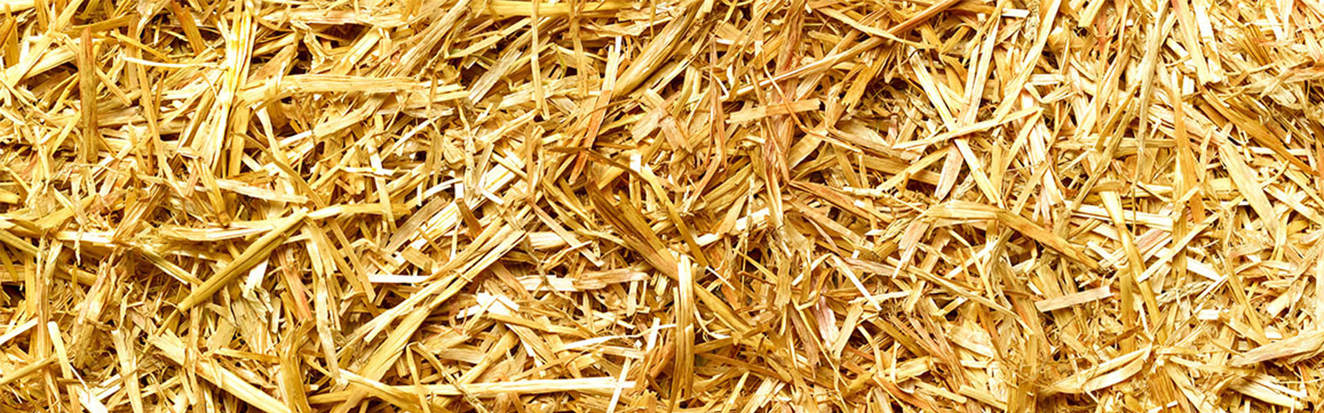 sunliquid_blog_banner