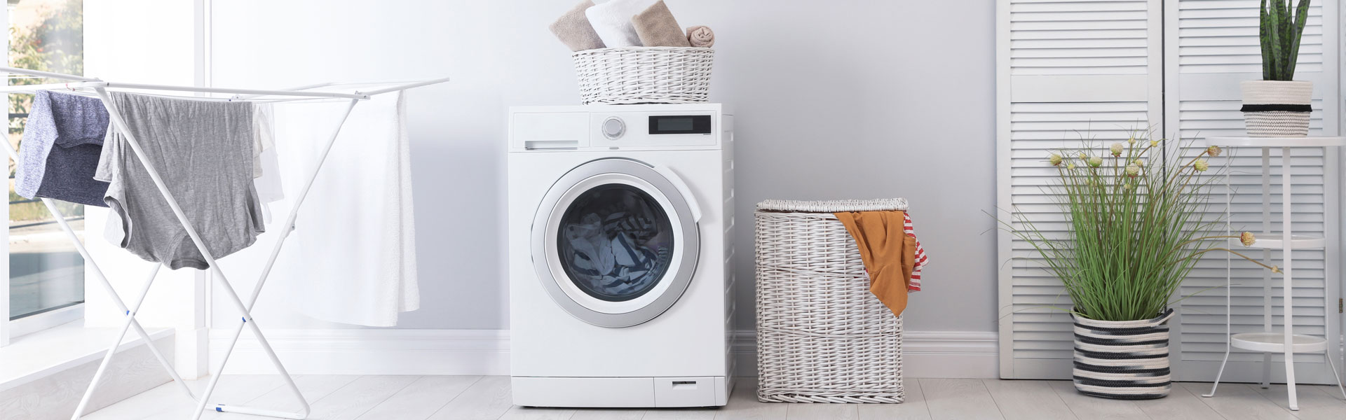 Laundry detergent ingredients