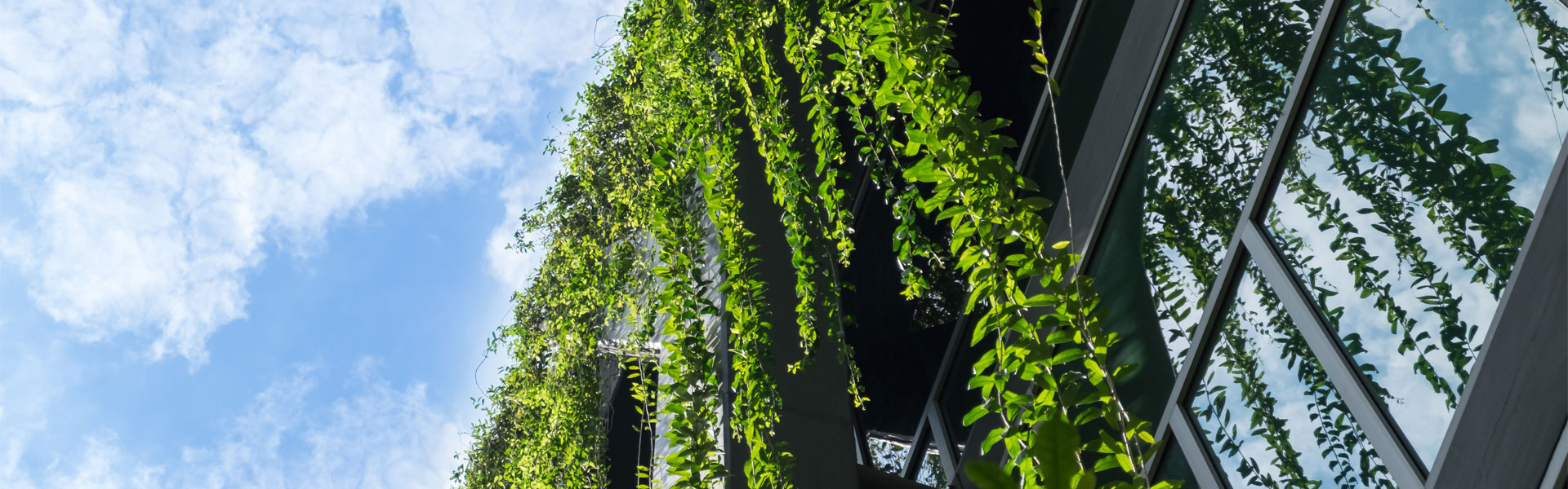 Clariant Image Blog Cities Of The Future Banner 20190517