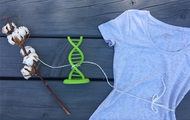 A paternity test