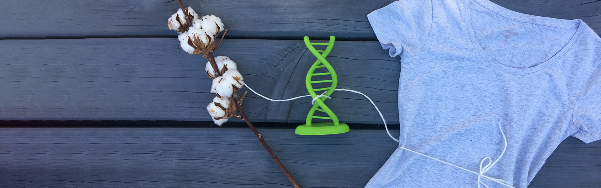 Clariant image Blog Healixa DNA Tracing Cotton Value Chain Traceability