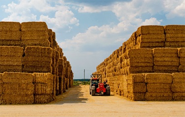 sunliquid® - on a straight-as-straw path to sustainable success