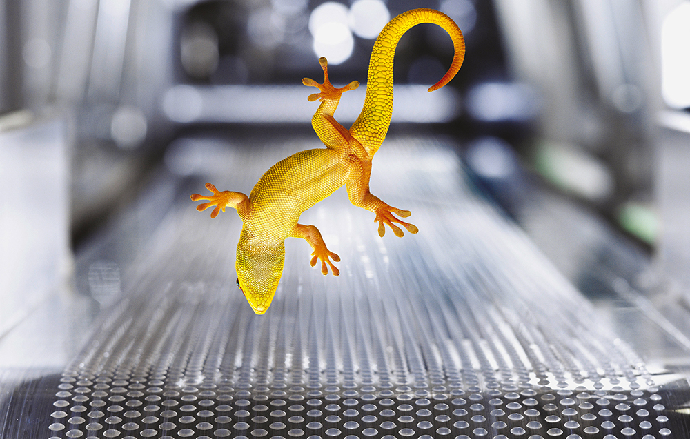 Adhesive & Sealant Council Annual Convention & Expo