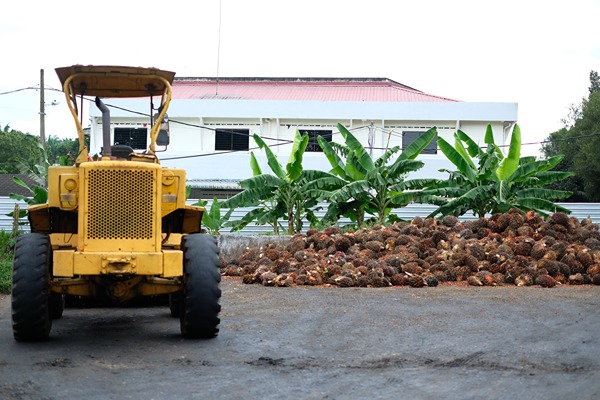 Clariant Image Palm Oil 20250508
