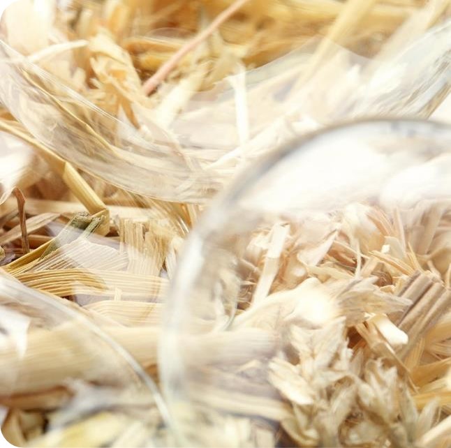 National Ethanol Conference