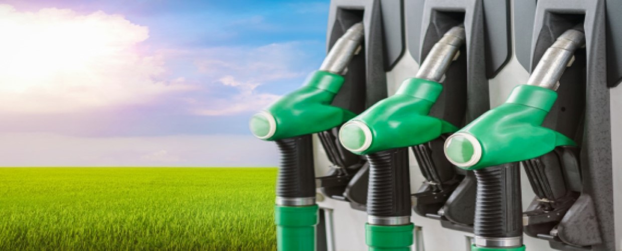 Biofuels International Conference & Expo