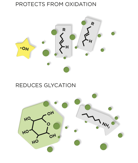 corporate_innovation_spotlight_videos_PlantasensOliveActiveHP_Solution