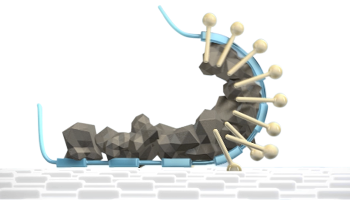 CLA_LP_TexCare_3_b_Solution_350x200px