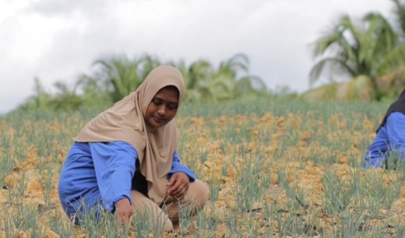 The image shows a person crouching in a field with sparse crops or grass, wearing a beige head covering and a blue long-sleeve shirt. The face is obscured. Palm trees and another partially visible person appear in the background.
