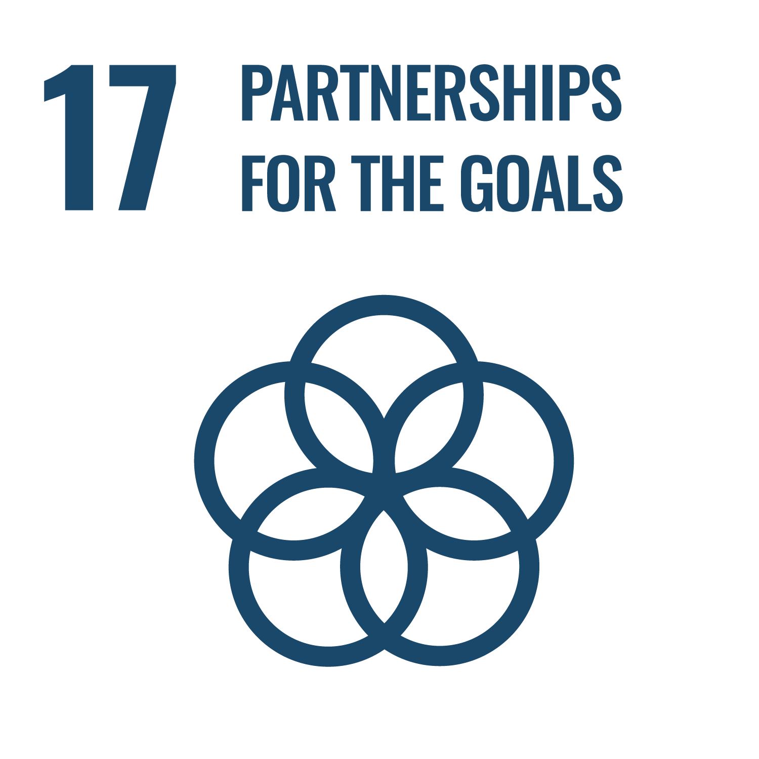 partnerships for the goals