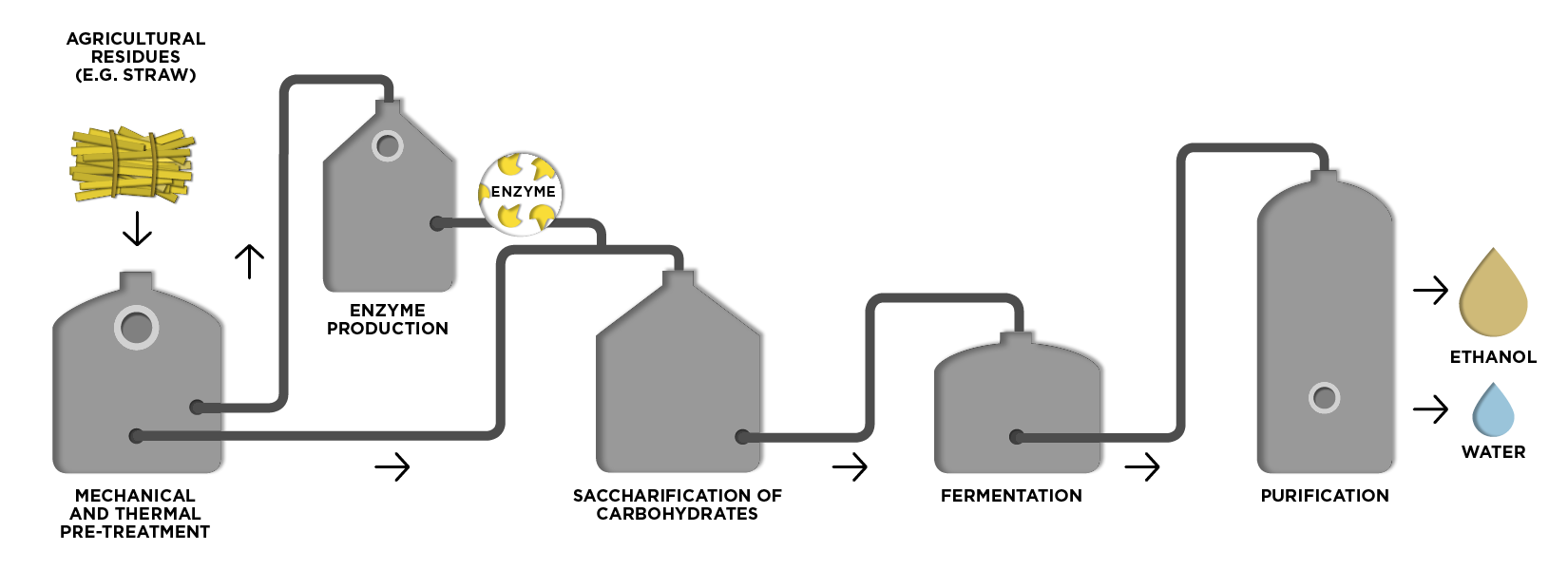 sunliquid process production