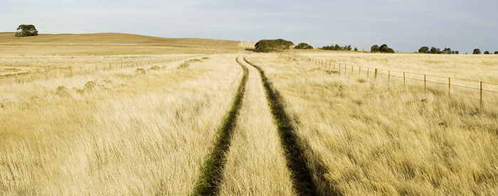 BioTech_Responsibility_w700x276h